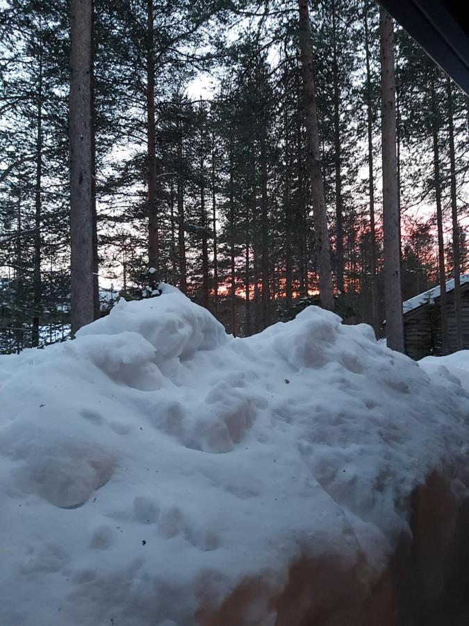Levi Pikkurakka 4A4 Apartment Kittila  Bagian luar foto